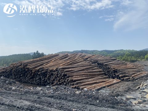 河道打樁為什么選擇松木樁來(lái)處理軟地基？-松木樁施工使用范圍