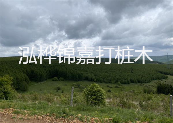 水泥蓋板廠(chǎng)家打造優(yōu)質(zhì)水泥蓋板及溝蓋供應商