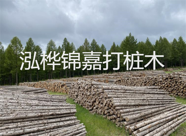 新一代建筑地基基礎設計規范助力工程質(zhì)量提升