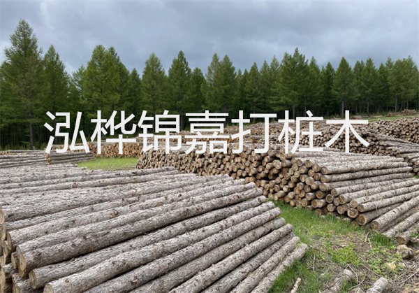 硬地基與軟地基：建筑工程中的關(guān)鍵挑戰