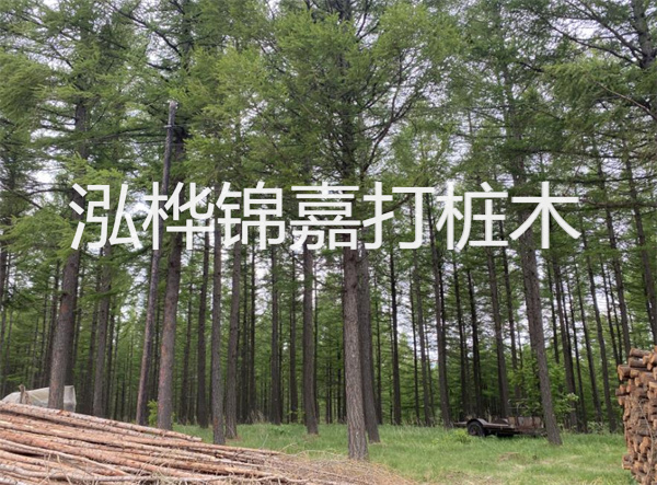 水泥固化劑：打造穩固耐用的建筑材料