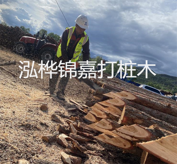 軟基處理——打造堅實(shí)的基礎